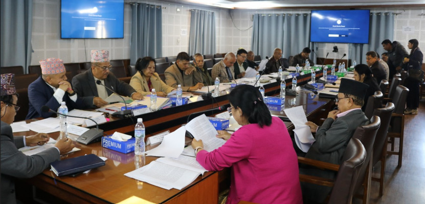 10th Senate Meeting}